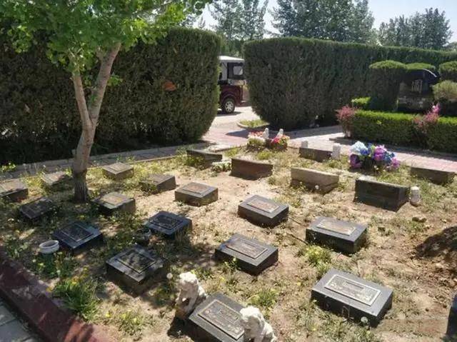 “死不起”成為現(xiàn)實(shí)！高價(jià)墓地市場(chǎng)冷清<strong></p>
<p>墓地</strong>，逝者也被“消費(fèi)降級(jí)”？:墓地